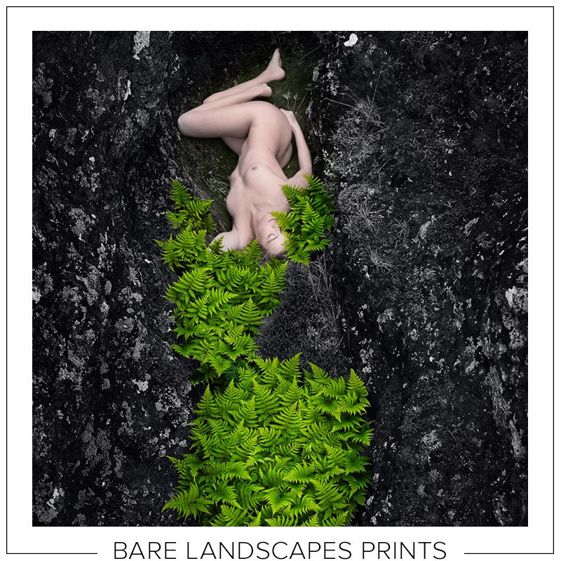 Click here to select and order Bare Landscapes prints