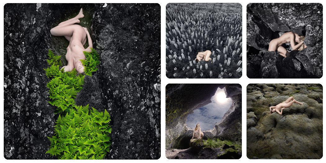 CATEGORY COLLAGES-BARE LANDSCAPES CATEGORY COLLAGES-BARE LANDSCAPES